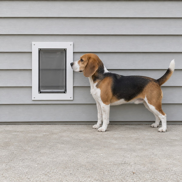 Illustration: Beagle, 14 in at the shoulder, next to the Medium wall dog door